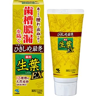 Kiribai - Fresh Leaf EX Toothpaste 100g