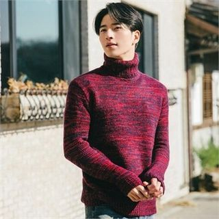 STYLEMAN Turtle-Neck Knit Top