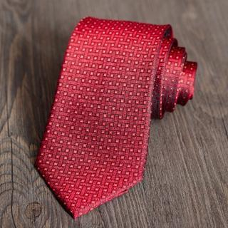 Xin Club Patterned Silk Neck Tie ZS73 - One Size