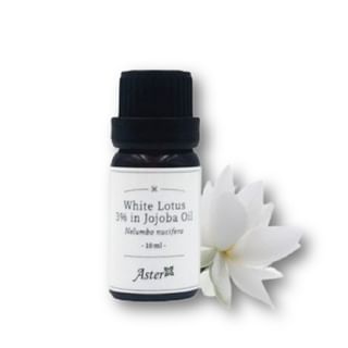 Aster Aroma - 3% Essential Oil in Organic Jojoba Oil White Lotus - 10ml