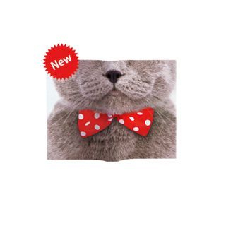 DREAMS Animal Mask Book Cover (Ribbon Cat)