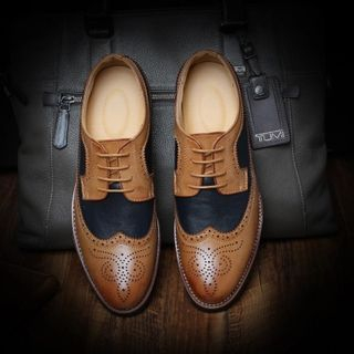 Hipsteria Color-Block Oxford Shoes