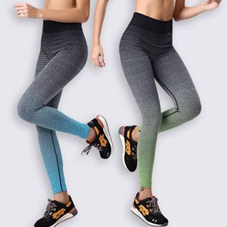 Lady Lily Sports Gradient Running Tights