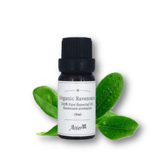 Aster Aroma - Organic Essential Oil Ravensara - 10ml