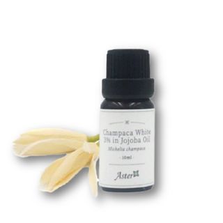 Aster Aroma - 3% Essential Oil in Organic Jojoba Oil White Champaca - 10ml