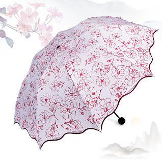 RGLT Scarves Printed Foldable Umbrella