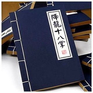 New Day Aura Kung Fu Secret Notebook - Large