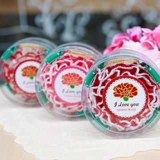 Iswas Carnation Brooch Diy Kit