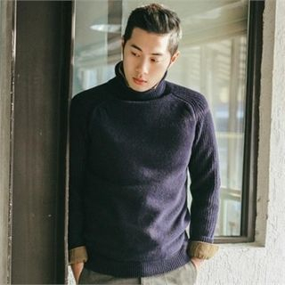 STYLEMAN Wool Blend Turtle-Neck Knit Top