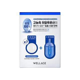 WELLAGE - Real Hyaluronic One Day Kit Set 7 sets