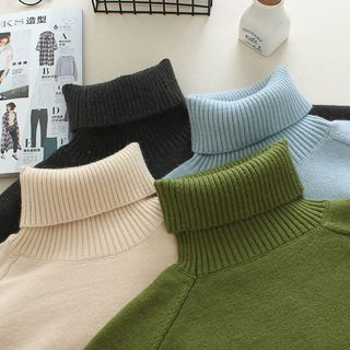 Mushi Turtleneck Sweater