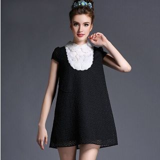 Ovette Embroidered Collar Color-Block A-Line Dress