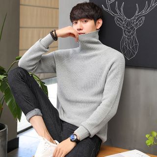 Plain Turtleneck Sweater