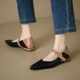 Two Tone Pointed Mary Jane Flats