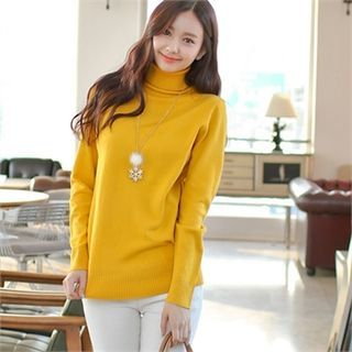 Styleberry Turtle-Neck Knit Top