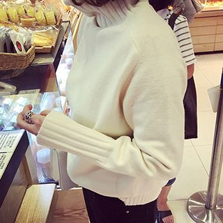 Eva Fashion Turtleneck Sweater