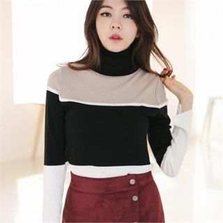 MAGJAY Turtle-Neck Color-Block Knit Top