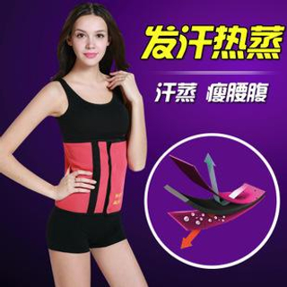 Giselle Shapewear Shaping Waist Cincher