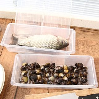 Yulu Seafood Storage Box Image Color - One Size