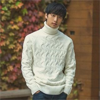 STYLEMAN Turtle-Neck Cable-Knit Sweater