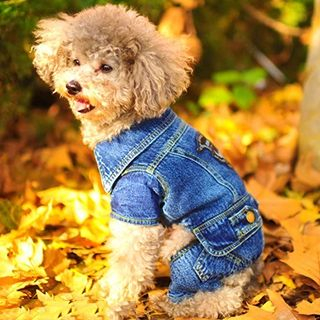 Pet Sweetie Pet Denim Costume