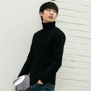 STYLEMAN Turtle-Neck Cable-Knit Sweater