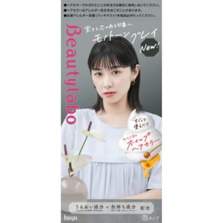 hoyu - Beautylabo Whip Hair Color Monotone Gray