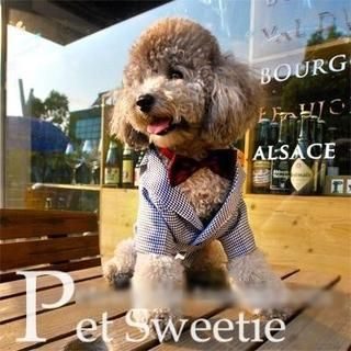 Pet Sweetie Dog Houndstooth Suit with Bow Tie