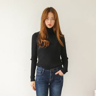 Envy Look Turtle-Neck Ribbed Knit Top