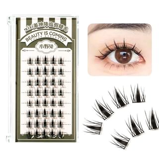 Xixi - Beauty Descending False Eyelashes - Little Hare #B Rabbit