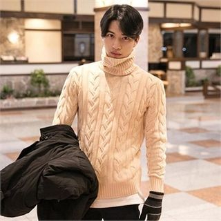 STYLEMAN Turtle-Neck Cable-Knit Top