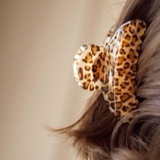 Annamae Leopard Hair Clamp