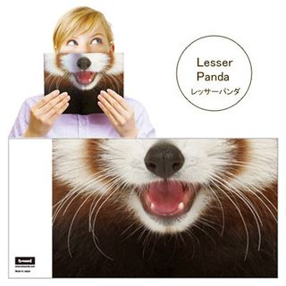 DREAMS Animal Mask Book Cover (Lesser)