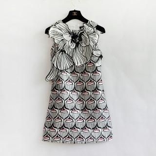 Amella Sleeveless Paneled Printed A-Line Dress