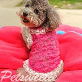 Pet Sweetie Dog Lace Sleeveless Top