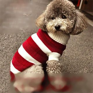 Pet Sweetie Pet Stripe Turtleneck Sweater