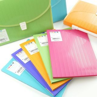 Cute Essentials A4 Document Sleeve