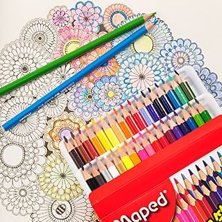Bookuu Color Pencil Set