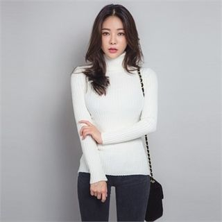 ERANZI Turtle-Neck Rib-Knit Top