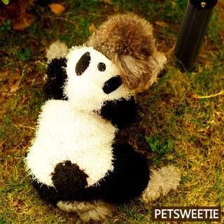 Pet Sweetie Dog Panda Costume