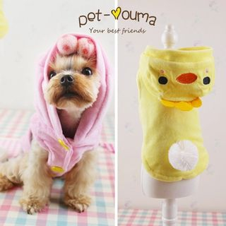Petine Chick Accent Hooded Dog Jacket
