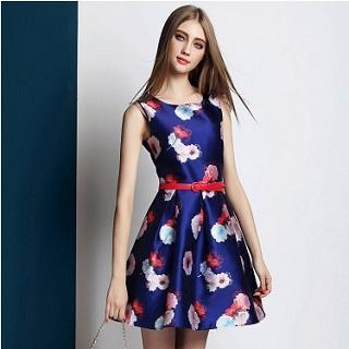 Ozipan Sleeveless Flower-Print A-Line Dress