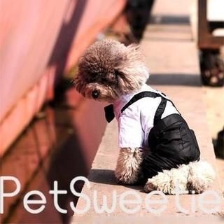 Pet Sweetie Dog Suit with Bow Tie