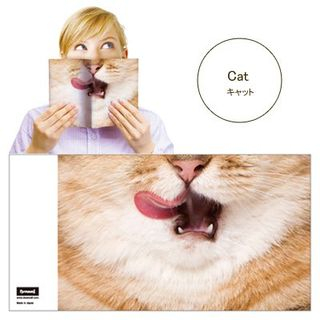 DREAMS Animal Mask Book Cover (Cat)