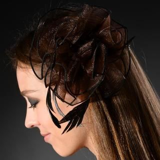 BLISS Fashion Mesh Rosette Hair Clip Brown - One Size