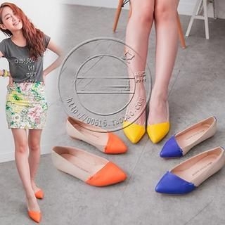 Chryse Pointy Contrast Colour Flats