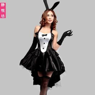 Cosgirl Bunny Girl Party Costume