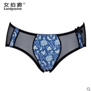 Landgravine Lace-Trim Mesh Panties