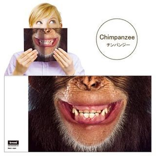 DREAMS Animal Mask Book Cover (Chimpan)
