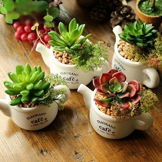 Cottage Dream Artificial Cactus Pot